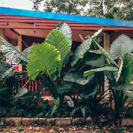 Song Pee Nong Resort Phattalung Phatthalung Ngoại thất bức ảnh