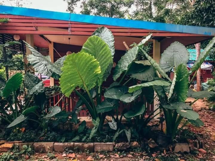 Song Pee Nong Resort Phattalung Phatthalung Ngoại thất bức ảnh